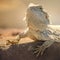 Reptile closeup portrait