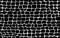 Reptile or crocodile skin. Animal print, spotted surface monochrome black background. Vector seamless texture