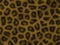 Reptile texture