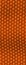 Reptile texture - seamless.