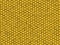 Reptile texture - yellow lizard