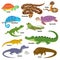 Reptile vector animal reptilian character lizard turtle iguana and chameleon pet illustration set of crocodile varan