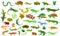 Reptiles amphibians icons set, cartoon style