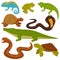 Reptiles and reptilian animals turtle, crocodile or chameleon and lizard snake flat vector icons