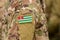 Republic of Abkhazia, flag on soldiers arm. Abkhazia troops col