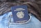 Republic of Armenia Passport, Vacation Concept