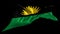 Republic of Benin Flag