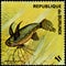 REPUBLIC OF BURUNDI - CIRCA 1974: postage stamp, printed in Burundi, shows a fish African Butterfly Fish Pantodon buchholzi