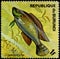 REPUBLIC OF BURUNDI - CIRCA 1974: postage stamp, printed in Burundi, shows a fish Egyptian Mouthbreeder Haplochromis multicolor