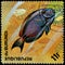 REPUBLIC OF BURUNDI - CIRCA 1974: postage stamp, printed in Burundi, shows a fish Ocean Surgeonfish Acanthurus bahianus