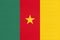 Republic of Cameroon national fabric flag, textile background