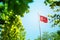 Republic of Turkey flag, Turkish flag waving in the wind between trees