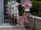 Repurposed bike used as garden decoration with flowers. Flower container. Flowers. Decoration.