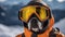 Rescue dog in signal vest on snowy mountains, close up with copy space for text placement
