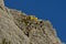 Rescue helicopter Mountain guard Dolomites Italy Tirol climbing mountaineering