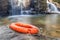 Rescue lifebuoy on the rock with nature waterfall background.