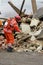 Rescue worker and dog at building