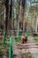 Rescued brown bear in a wildlife sanctuary