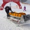 Rescuers carry the skier