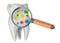Research and diagnosis of teeth diseases concept. Tooth with viruses and bacterias under magnifying glass, 3D rendering