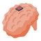 Research human brain icon, isometric style