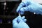 Research scientist hand with blue chemical protective gloves holding vial small bottle for doing experiment. Chemist working in