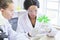 Research teams, Two female scientist in protective glasses looking and examining plant new species