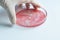 Research of viruses and bacteria, researcher holds a Petri dish with a sample.