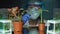 Researcher analyzing plants with magnifying glass, insecticide development