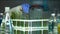 Researcher checking sediments in tubes with test liquids, vitamin production