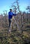 RESEN, MACEDONIA. MARCH 16, 2019- Farmer pruning apple tree in orchard in Resen, Prespa, Macedonia. Prespa is well known region in