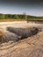 Reservoir building for water collection and storage due to heavy rain during rainy season and land protection due to deforestation