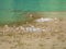 Reservoir during a drought, a rocky shoal. A pile of rocks on the muddy bottom. Turquoise water of a mountain river