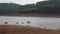 Reservoir, green hills, trees, lake scenery outdoors on a sunny day