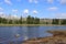 Reservoir Oderteich at low water in summer, Harz, Germany