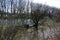 Reservoir Speichersee lake in Ismaning in Bavaria, Germany