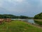 Reservoir which has become a lake with greenish water