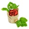 resh, juicy red strawberry wooden small bucket.