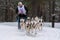 Reshetiha, Russia - 02.02.2019 - Sled dog racing. Husky sled dogs team pull a sled with dog musher. Winter competition