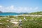 Resident population of atoba birds in Abrolhos archipelago, Bahia, Brazil