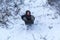 A resident of the tundra, indigenous residents of the Far North, tundra, open area, children ride on sledges, children  in