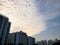 Residental building and cloudscape in Hong Kong