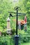 Residential Bird Feeder Station to Attract Backyard Birds