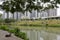 Residential buildings by river at nanning city, adobe rgb