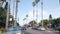 Residential district, suburban California street. Cars and palm trees in city.