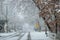 Residential neighborhood city street in severe snowstorm close up