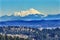 Residential Neighborhoods Snow Capped Mount Baker Mountains Issaquah Washington