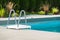 Residential Outdoor Swimming Pool Ladder