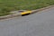 Residential street curb with drain painted yellow, green grass and asphalt copy space
