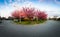 Residential Suburban Neighborhood in the City during a vibrant springtime sunset.